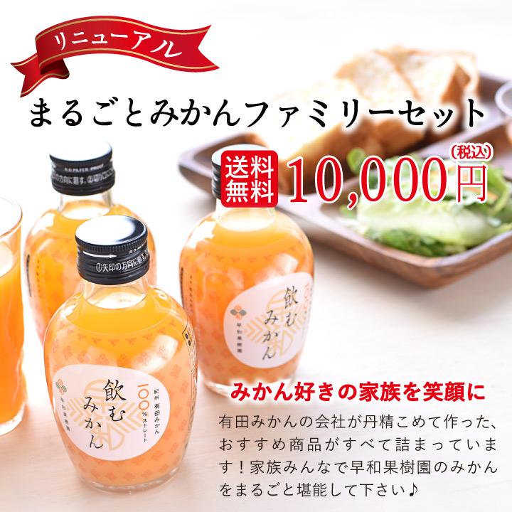 早和果樹園 夏 ギフト 10000円 贈り物 みかん ジュース ゼリー ジャム
