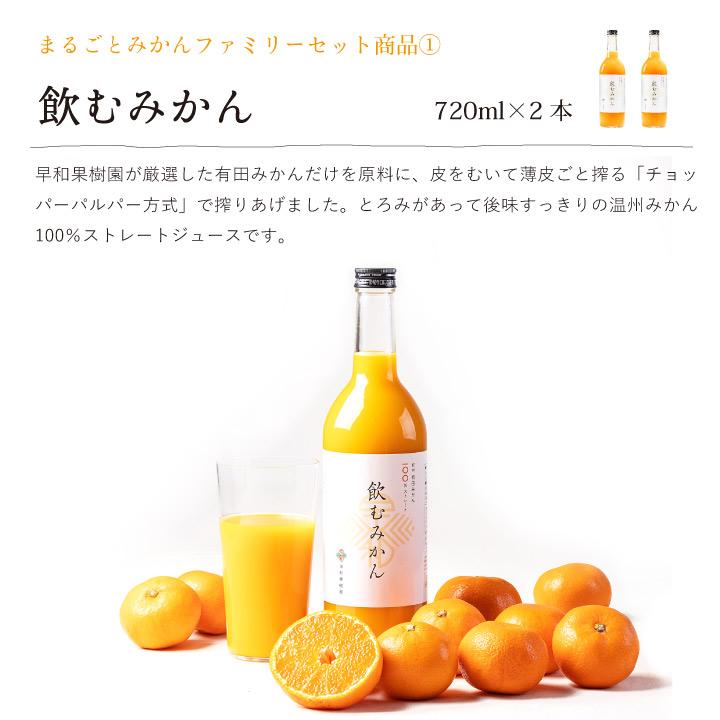 早和果樹園 お中元 夏 ギフト 10000円 贈り物 みかん ジュース ゼリー