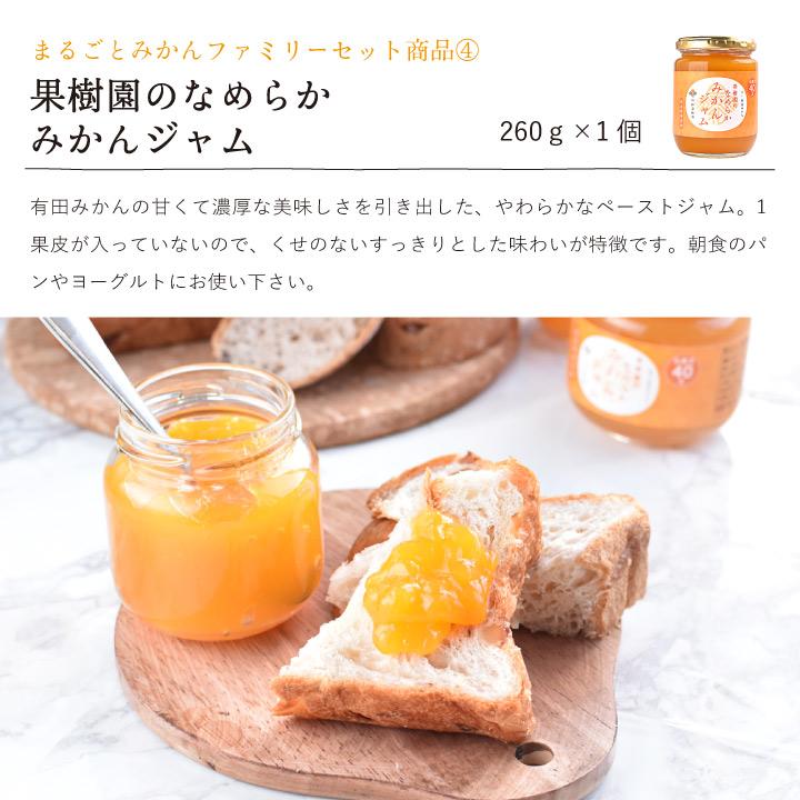 早和果樹園 お中元 夏 ギフト 10000円 贈り物 みかん ジュース ゼリー