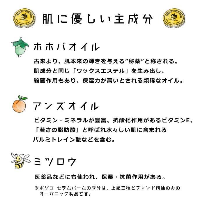 ボジコ オリジナル 40g From Bojico Organic Wax Bojico Original 40g Retail By Sow 通販 Yahoo ショッピング