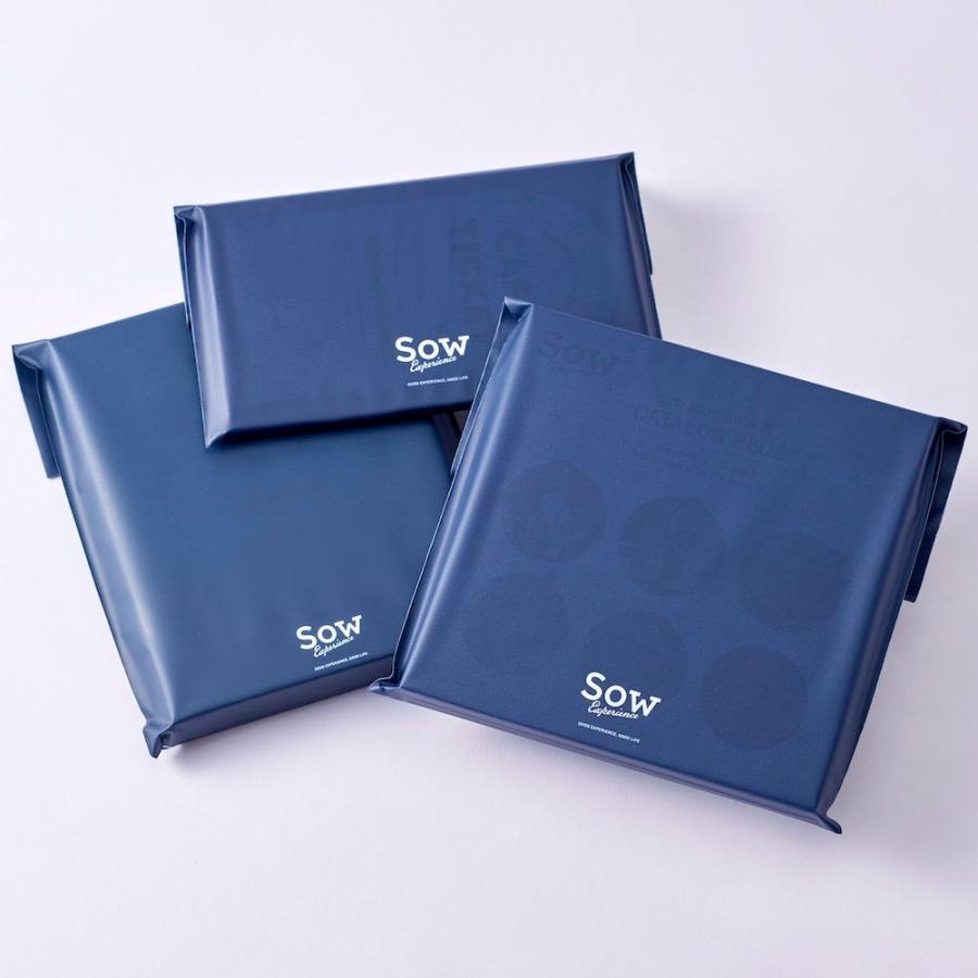 体験ギフト クルージングチケットblue 父の日 プレゼント 結婚 出産 誕生日 お祝い 景品 彼女 父親 母親 カップル お食事券 ソウ エクスペリエンス Cruising Blue ソウ エクスペリエンス 通販 Yahoo ショッピング