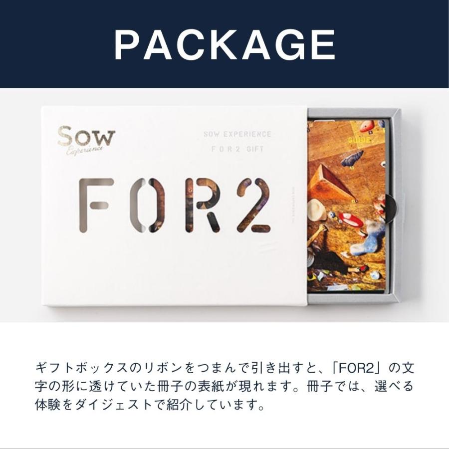 ソウ・エクスペリエンス（SOW EXPERIENCE） 体験ギフト FOR2ギフト