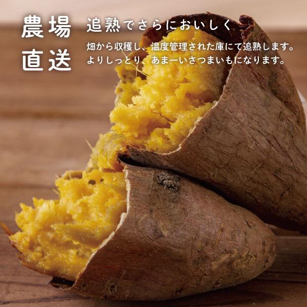 焼き芋・じっくり壺焼き丹波篠山さつまいも紅はるか500g×2 焼き芋・じっくり壺焼き丹波篠山さつまいも紅はるか500g×2