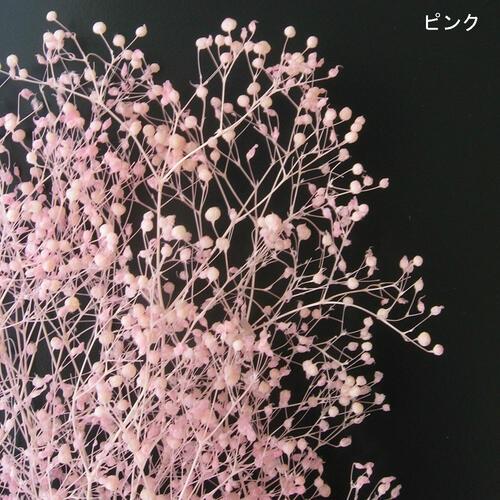 タケダ（takeda） かすみ草 カスミソウ S takeda グリーン エンジェル