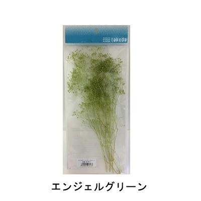 タケダ（takeda） かすみ草 カスミソウ S takeda グリーン エンジェル