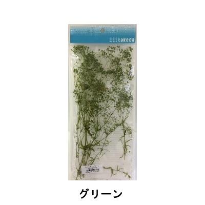 タケダ（takeda） かすみ草 カスミソウ S takeda グリーン エンジェル