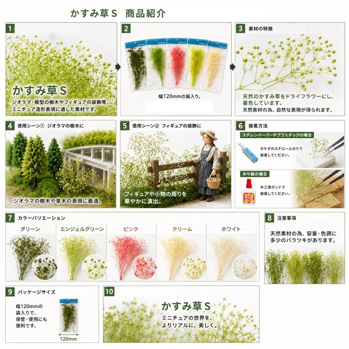 タケダ（takeda） かすみ草 カスミソウ S takeda グリーン エンジェル