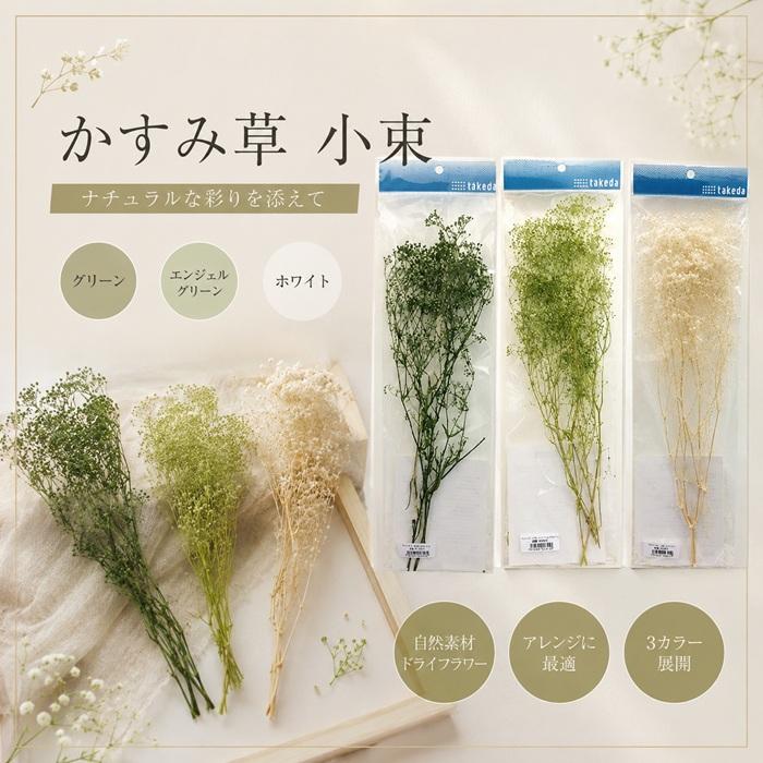 タケダ（takeda） かすみ草 小束 グリーン エンジェルグリーン