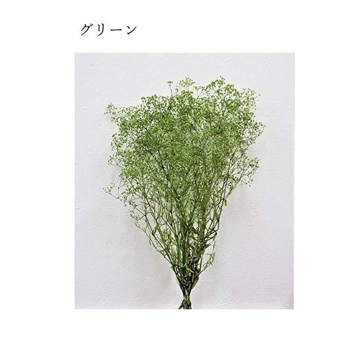 タケダ（takeda） かすみ草 大束 グリーン エンジェルグリーン