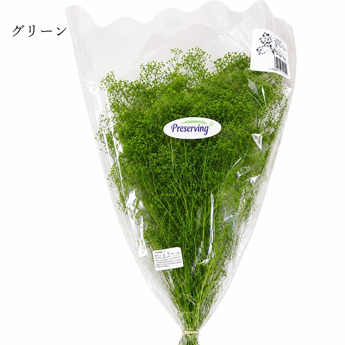 タケダ（takeda） かすみ草 大束 グリーン エンジェルグリーン