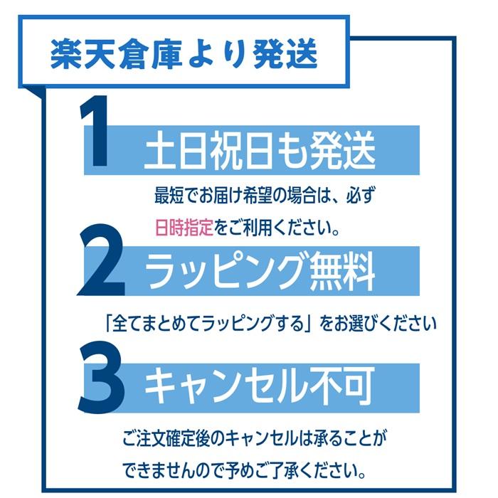 コピックチャオ 72色 セット コピックペン コピック セット ラッピング無料 送料無料 ケース付き チャオ Too トゥー スタート COPIC ciao | コピックチャオ | 12
