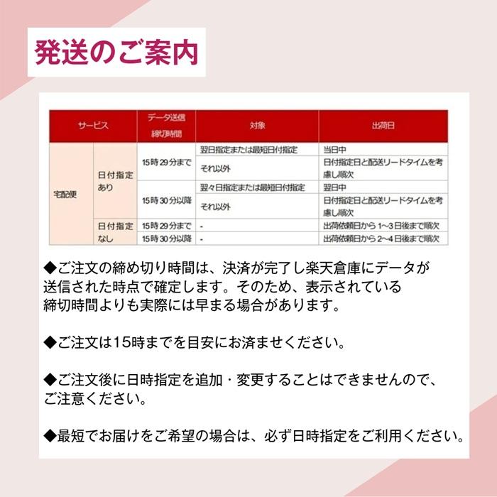 コピックチャオ 72色 セット コピックペン コピック セット ラッピング無料 送料無料 ケース付き チャオ Too トゥー スタート COPIC ciao | コピックチャオ | 13