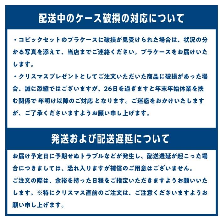 コピックチャオ 72色 セット コピックペン コピック セット ラッピング無料 送料無料 ケース付き チャオ Too トゥー スタート COPIC ciao | コピックチャオ | 17