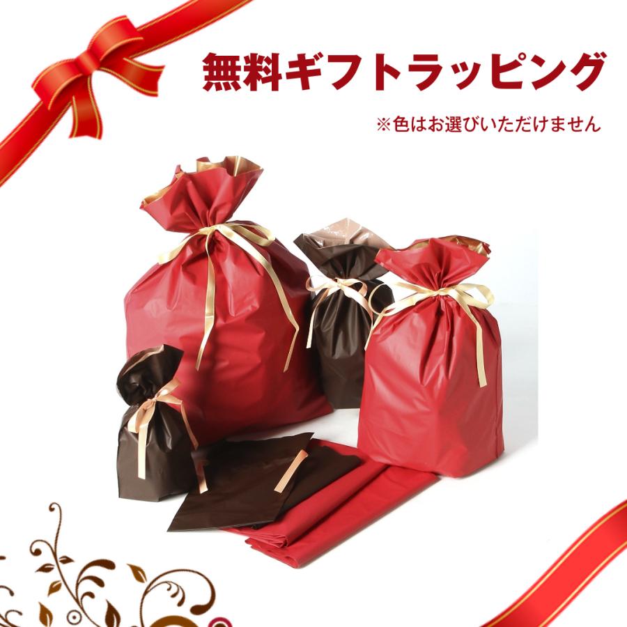 コピックチャオ 12色 コピックセット 12色セット スタート コピックペン ペン チャオセット ラッピング無料 送料無料 ケース付き コピック チャオ COPIC | コピックチャオ | 11