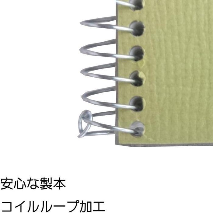 maruman（マルマン） スケッチブック オリーブ B3 S2A 品番S2A 本文20