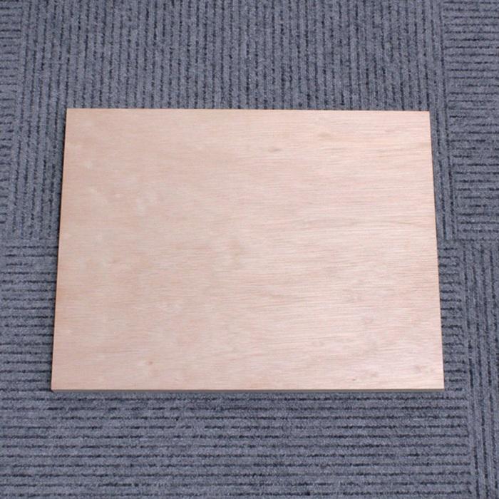 那須野 ラワンパネル A3 420mm×297mm PA3 水彩画 デザイン イラスト 写真 日本画 クラフト ホビー 結婚式のウェルカムボード ファブリックアート | ブランド登録なし | 02