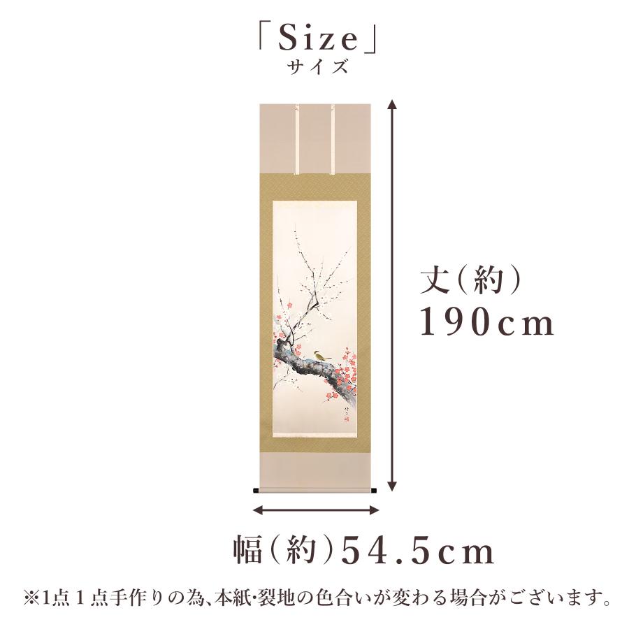 掛け軸 掛軸 「梅に鴬」 田辺修二 尺五立 サイズ：54.5×190cm 桐箱付 和室おしゃれ 日本画 送料無料 表装 床の間 収納 木 箱 モダンの画像