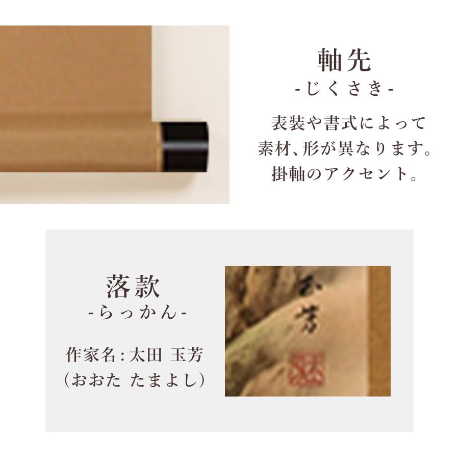 掛け軸 掛軸 「十六全図」 太田玉芳 尺五立 サイズ：54.5×190cm 桐箱付 和室おしゃれ 日本画 送料無料 表装 床の間 収納 木 箱 モダンの画像