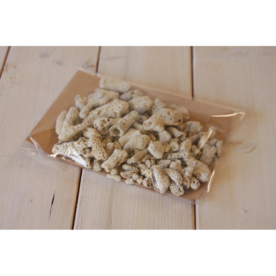 天然素材 枝サンゴ かけら 100g オブジェ 水槽 クラフト : 素材屋