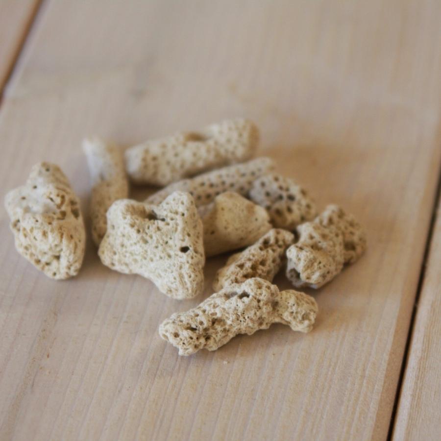 天然素材 枝サンゴ かけら 100g オブジェ 水槽 クラフト : 素材屋