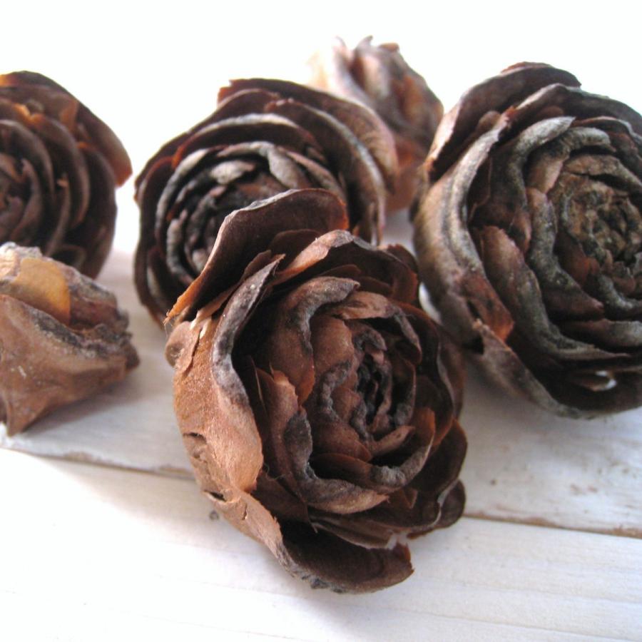 ★12/5〜出品予定★③⑧シダーローズ　木の実　リース　自然素材 シダーローズ大中小12コセット〈処理済〉 木の実 素材 リース