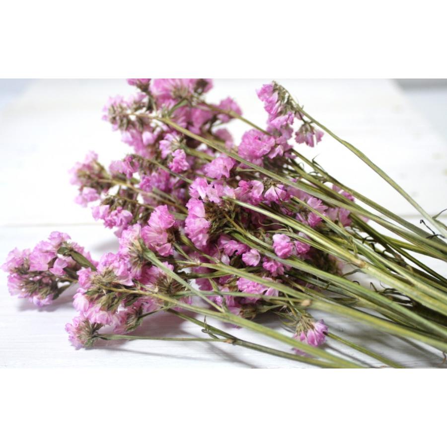 天然素材 スターチス リモニウム のドライフラワー ピンク 5本１束 リース素材 ドライ素材 Star P 素材屋 金魚 通販 Yahoo ショッピング