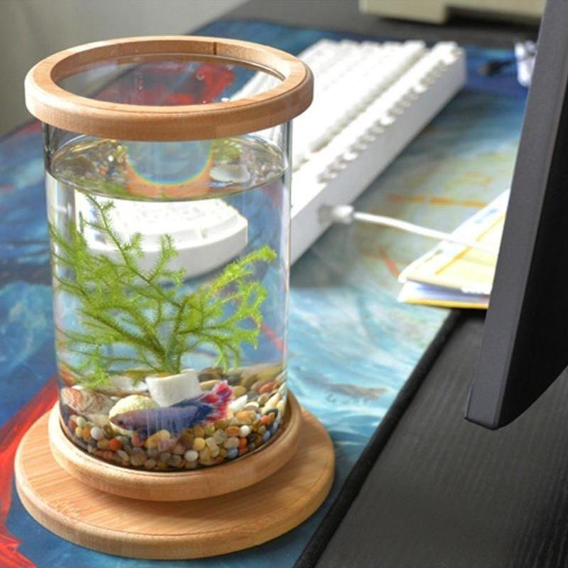 送料無料 金魚鉢 すいそう おしゃれ 回る水槽 卓上 かわいい 水藻なし ガラス 回転台 Lrdライト 360回転