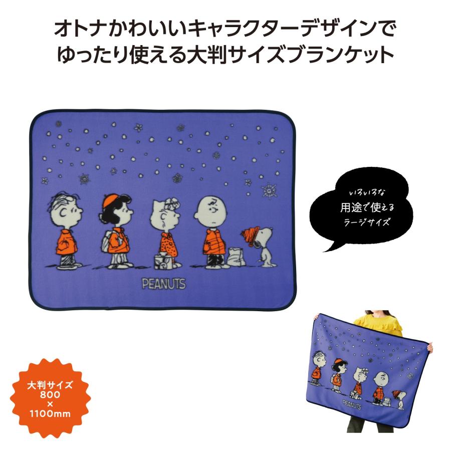 送料無料 スヌーピーライン　ラージブランケット 48個セット 記念品 景品 参加 抽選 来場 来店 成約 創立 イベント 格安 |  | 03