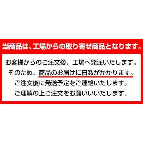 ＜取り寄せ限定上下セット半袖＞mcnサイクルジャージ（ショートスリーブ）＆イタリア製パッド付き4分丈サイクルパンツセット LEOの画像