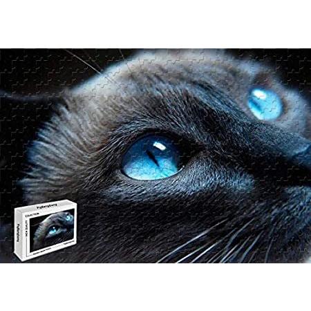 2022年レディースファッション福袋特集 シャミーズ キティ 猫 - ジグソーパズル 特別価格1000ピース 青い目 1好評販売中 X 29.5 明るい色 プレミアムバスウッド素材 美しいクローズアップ マズル ジグソーパズル