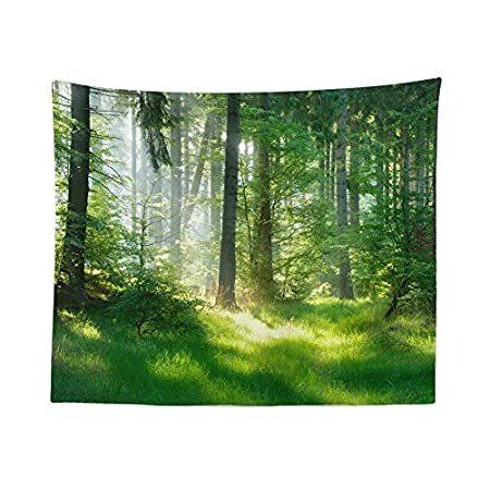 【オンラインショップ】 特別価格Nature Tape好評販売中 Décor Hanging Wall Daylight Jungle Forest Lush - Tapestry Green タペストリー