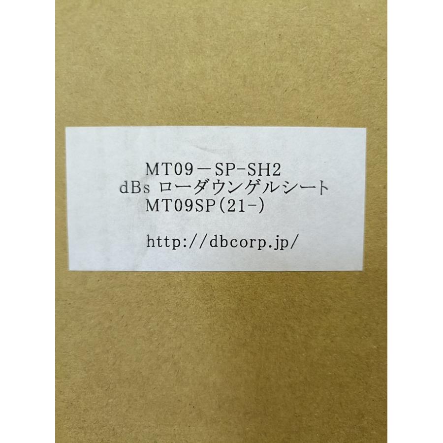 ワイズギア 【当店在庫あり】dB's 21'〜23' MT-09 SP RN69J 15mm