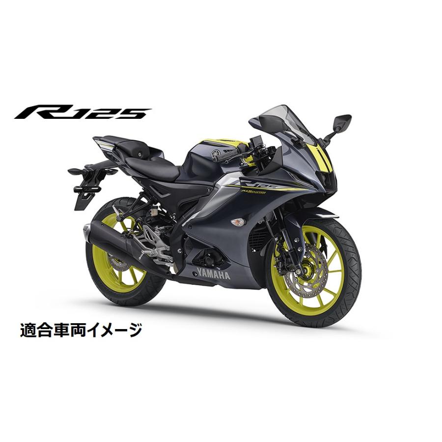 AKRAPOVIC 数量限定特価！23'〜 YZF-R15 RG86J/YZF-R125 RE45J