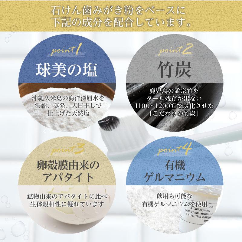 ジャパンアルジェ（JAPAN ALGAE） GM竹塩アパタイト・せっけん歯みがき