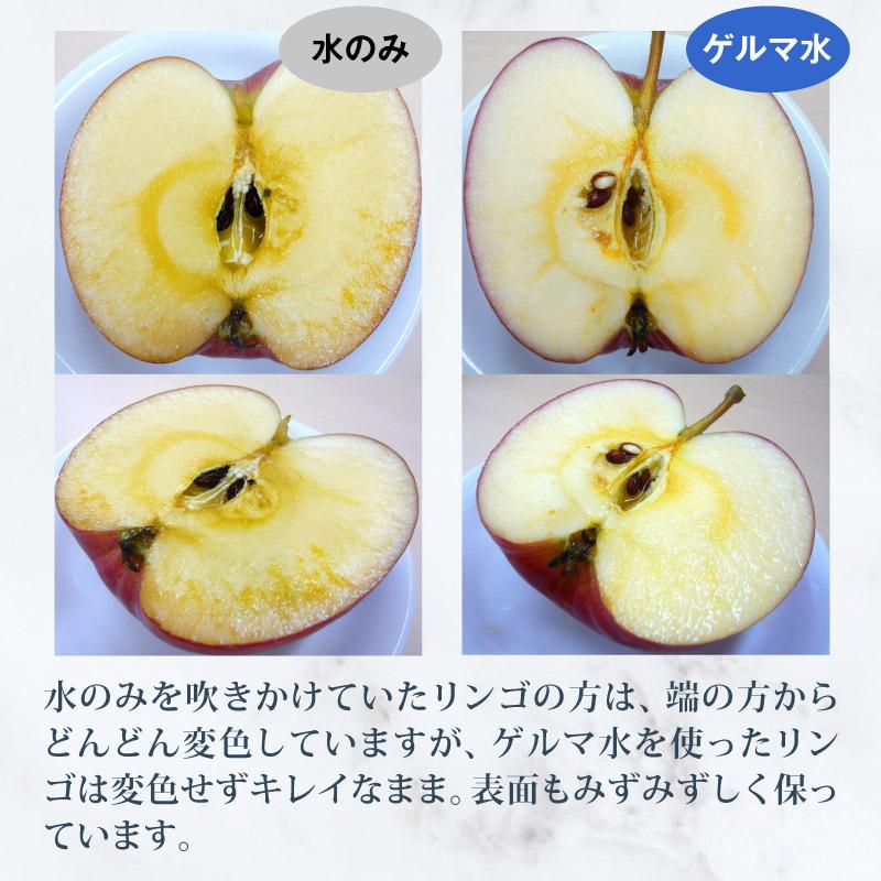 GM ローション・エンリッチ しっとりタイプ 有機ゲルマニウム0.5％配合