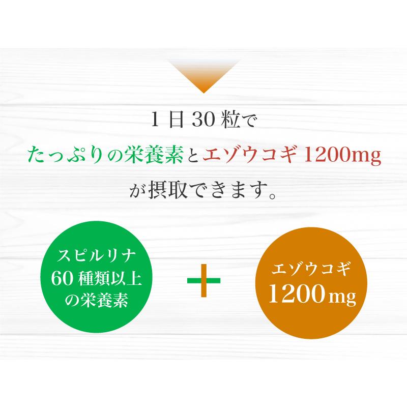 スピルリナ蝦夷五加 エゾウコギ 1000粒 サプリメント 藻 健康食品 Spirulina 【税込3,000円以上送料無料】｜sp100｜10