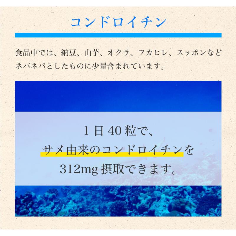 スピルリナ・グルコサミン＆コンドロイチン 1200粒 サプリメント 藻 健康食品 Spirulina 【税込3,000円以上送料無料】｜sp100｜08