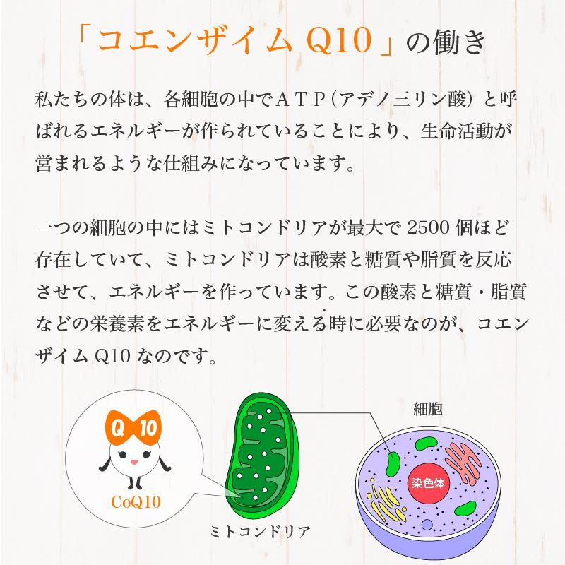 スピルリナ・コエンザイムQ10 1200粒 サプリメント 藻 健康食品 Spirulina 【税込3,000円以上送料無料】｜sp100｜07