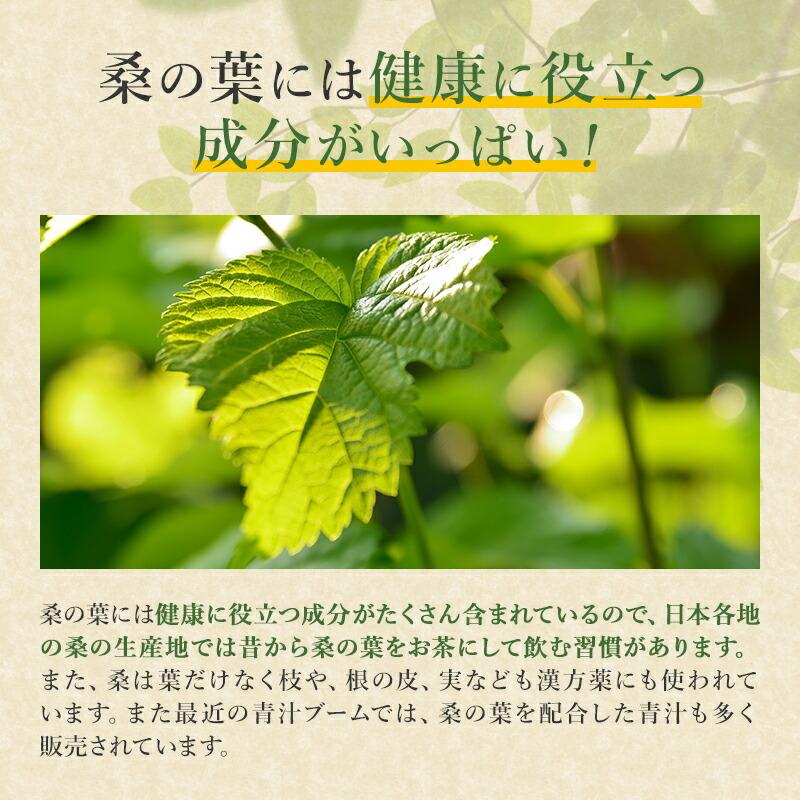 スピルリナＧＭ竹炭・桑の葉1000粒 竹炭パウダー ダイエットサプリ 藻 健康食品 Spirulina ポイント利用 爆買 | スピルリナ普及会 | 12