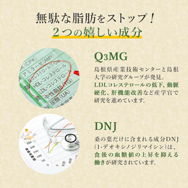 スピルリナＧＭ竹炭・桑の葉1000粒 竹炭パウダー ダイエットサプリ 藻 健康食品 Spirulina ポイント利用 爆買 | スピルリナ普及会 | 13