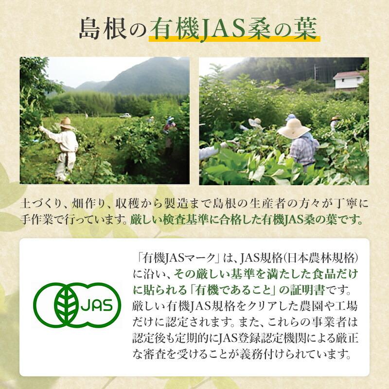 スピルリナＧＭ竹炭・桑の葉1000粒 竹炭パウダー ダイエットサプリ 藻 健康食品 Spirulina ポイント利用 爆買 | スピルリナ普及会 | 14