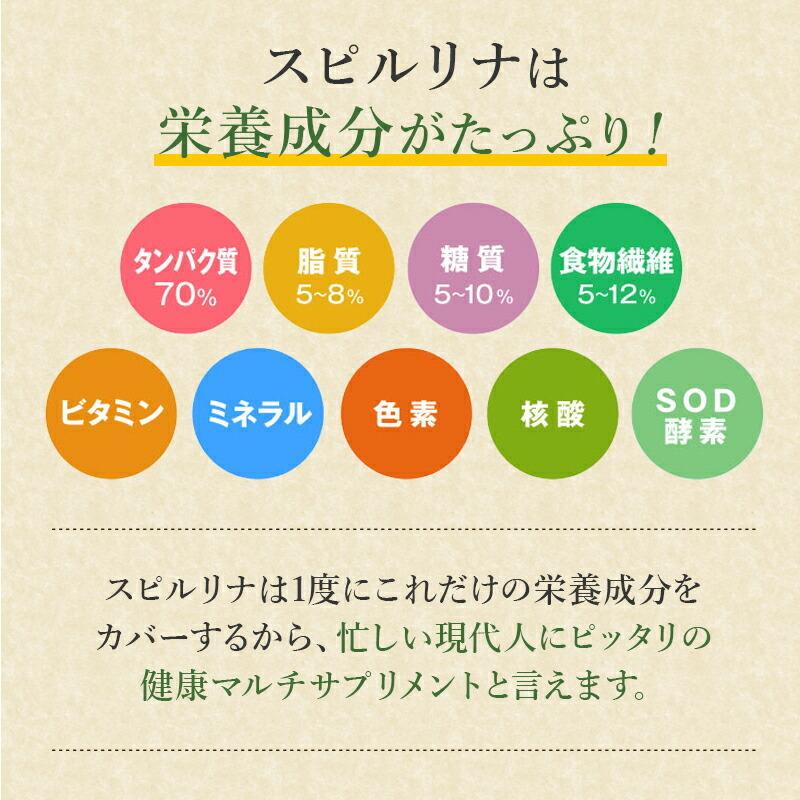 スピルリナＧＭ竹炭・桑の葉1000粒 竹炭パウダー ダイエットサプリ 藻 健康食品 Spirulina ポイント利用 爆買 | スピルリナ普及会 | 08