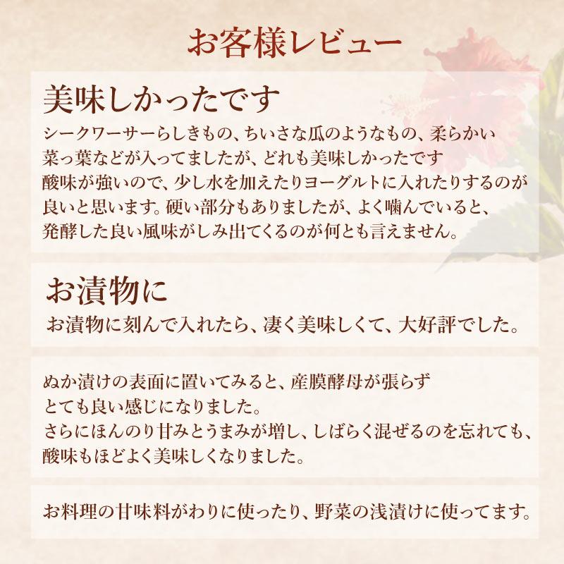 スピルリナ普及会 久米島酵素ドリンクの絞りかす 発酵食品 健康食品