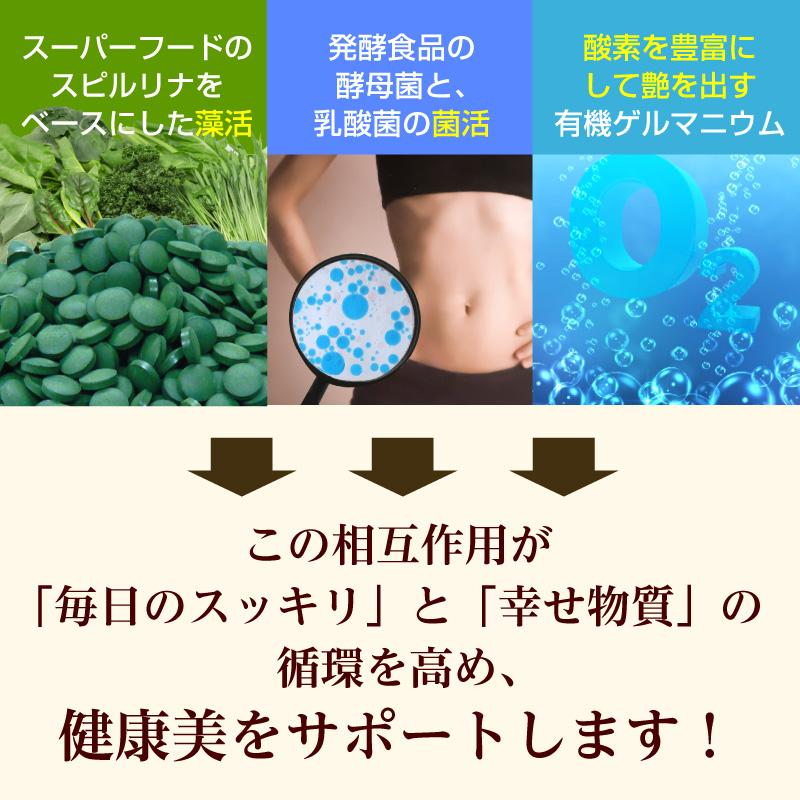 GMスピメイト 3600粒×3袋 スピルリナ普及会 GMスピメイト 3600粒 スピルリナ 乳酸菌 酵素粉末
