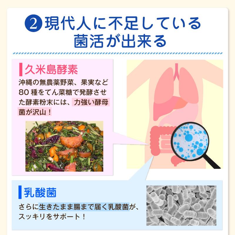 スピルリナ普及会 GMスピメイト 3600粒 スピルリナ 乳酸菌 酵素粉末