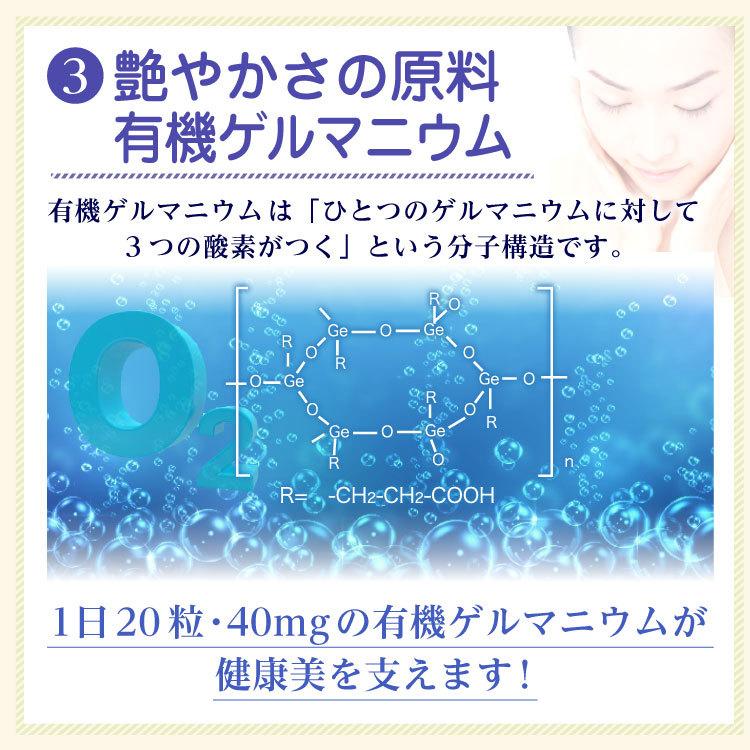 GMスピメイト　3600粒 スピルリナ 乳酸菌 酵素粉末 ビタミンC  サプリメント 藻 健康食品 Spirulina｜sp100｜18