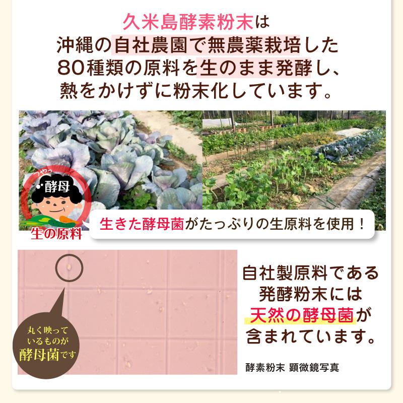 スピルリナ普及会 GMスピメイト 3600粒 スピルリナ 乳酸菌 酵素粉末