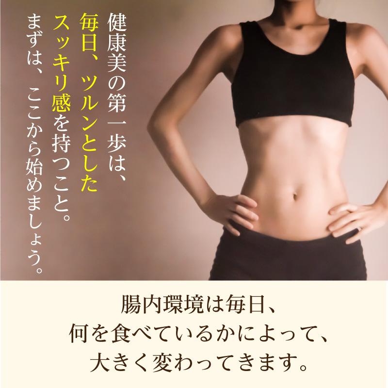 スピルリナ普及会 GMスピメイト 3600粒 スピルリナ 乳酸菌 酵素粉末