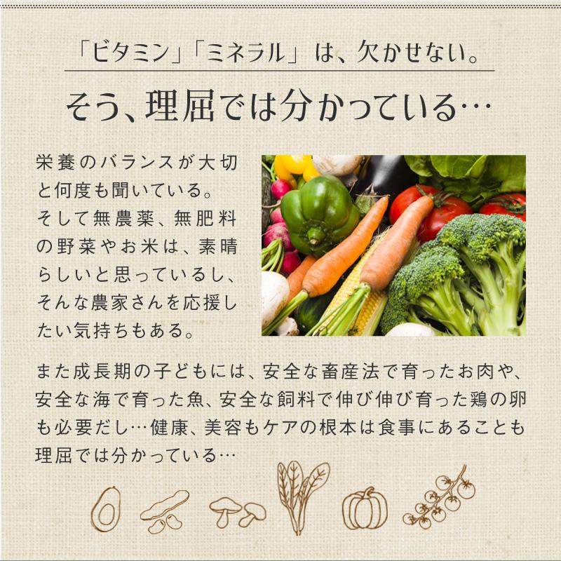 スピルリナ・カムカム久米島酵素 1000粒 サプリメント 藻 健康食品 Spirulina 【税込3,000円以上送料無料】 ポイント利用 爆買 | スピルリナ普及会 | 12