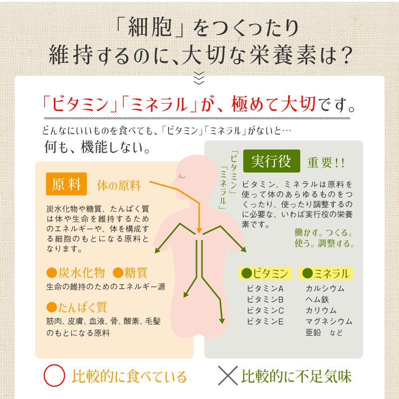 スピルリナ・カムカム久米島酵素 1000粒 サプリメント 藻 健康食品 Spirulina 【税込3,000円以上送料無料】 ポイント利用 爆買 | スピルリナ普及会 | 07